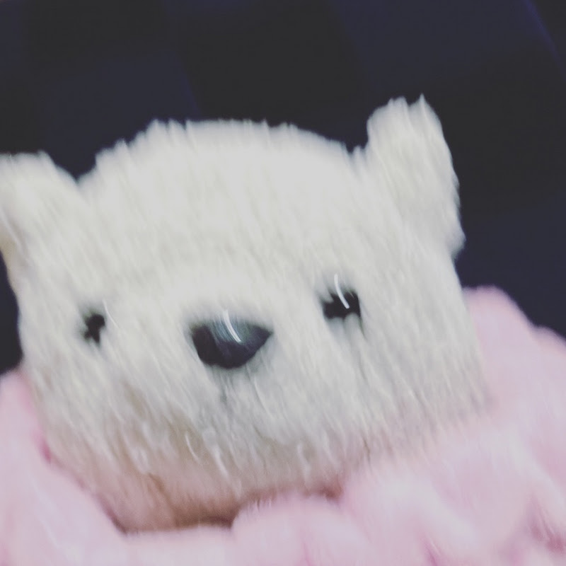 Profile Banner of おもち?