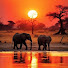 e8q86LVllf0-channel-avatar-Zululand  Safari's 
