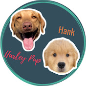 Harley Pup & Hank