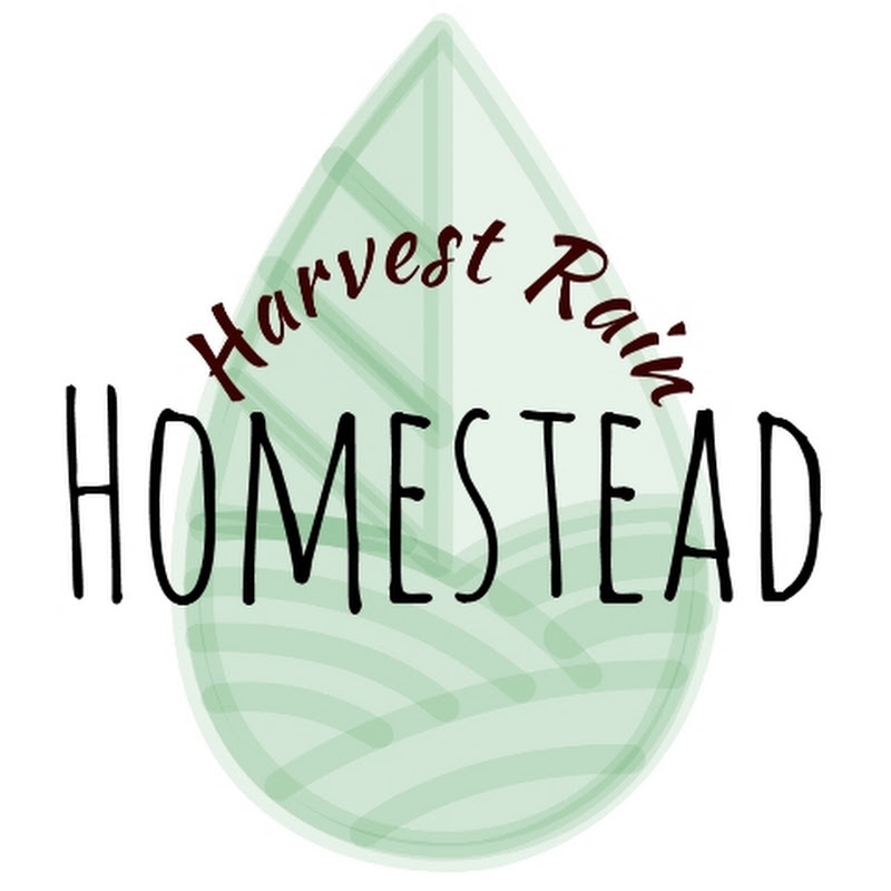 Harvest Rain Homestead