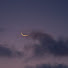 MWFHyDjAsOw-channel-avatar-다람 Daram