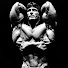 GQ3mJ7dFURc-channel-avatar-Titan Physique