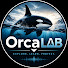 _-c4fWxIqPI-channel-avatar-OrcaLAB
