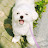 @김크림-p9k