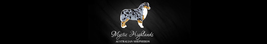 Mystic Highlands Australian Shepherds ইউটিউব চ্যানেল অ্যাভাটার
