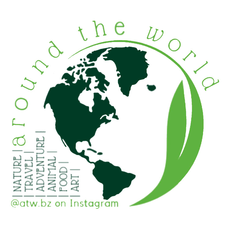 all around the world