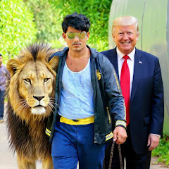 Shahzad Choudhary 786