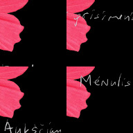 thumbnail img1x1