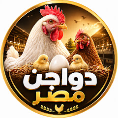 دواجن مصر