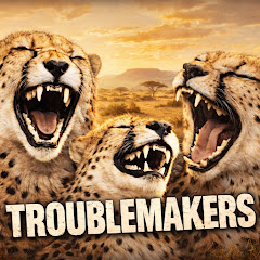 트러블메이커인사바나