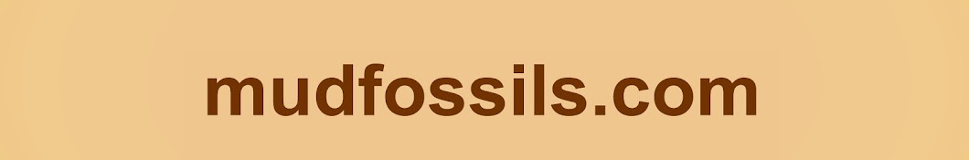 Mud Fossils YouTube kanalı avatarı