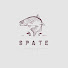 OhvpgYoUqR8-channel-avatar-S P A T E