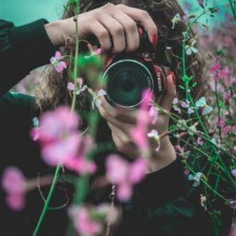 Lens Queen