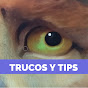 TRUCOS Y TIPS de Ilustración y Diseño 2D-3D logo