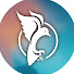 rPqiKahuSDs-channel-avatar-ChainlessLIFE
