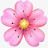 @littleflowerms