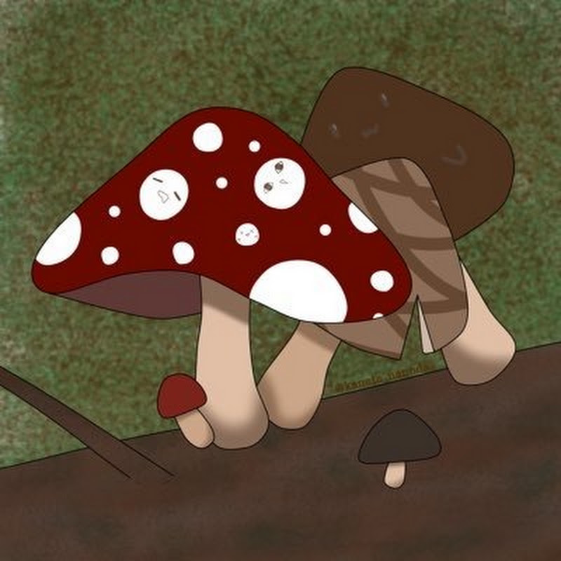 留希3283‐猫ときのこのVtuber‐