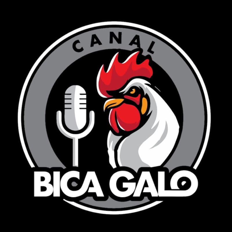 CANAL BICA GALO