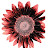 Crimson Sunflower PB