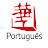 Huace Croton TV Português