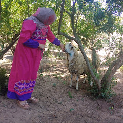 يوميات فلاحه تونسية