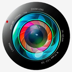 HD Video Library - No Copyright Footage