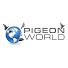 77seg6Y-2Kw-channel-avatar-Pigeon World