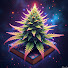 i81D0WwYne0-channel-avatar-Craft Growers Network 
