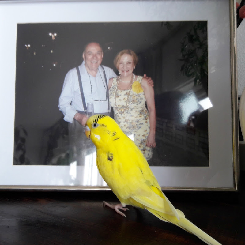 SAÚDE&LIVROS na Janela da Paulista