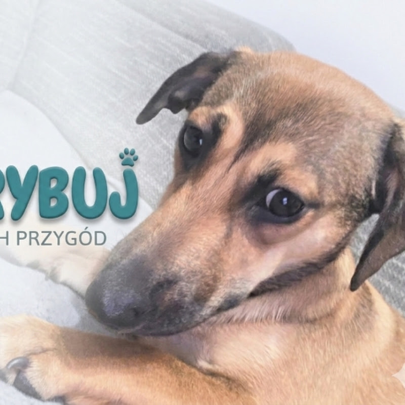 Makoś