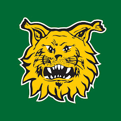 Ilves Hockey