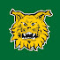 prhrR2kEuQk-channel-avatar-Ilves Hockey
