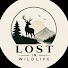 BT5Dhv50juY-channel-avatar-Lost in Wildlife