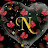@NSiddiqui-e3j1718