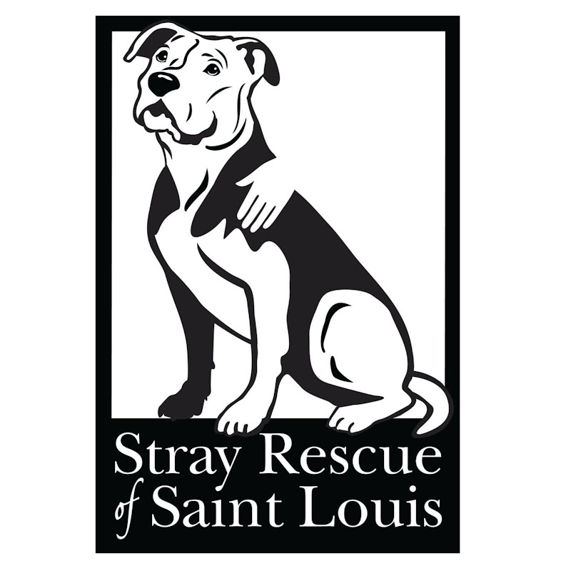 Stray Rescue Of St.Louis Official