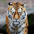 @sleepmonster Avatar