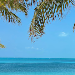 Cruises & Travel channel thumbnail