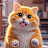 @Oyencat-cute