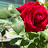 @Happynowsarha