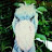 Avatar of @angriestbird3578