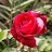 @DfGjk-w2l