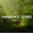 fOEyN1iFYCg-channel-avatar-The Ambience Tunes