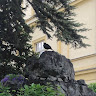 Автор