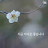 @라임오렌지-f6m