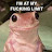 @Chezzwinks Avatar