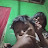 @IndahongIndahong