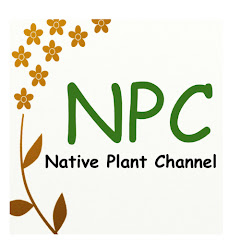 Native Plant Channel Avatar