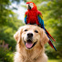 0YLEdXjmiTY-channel-avatar-Funny Pets