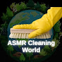 ASMR Cleaning World logo