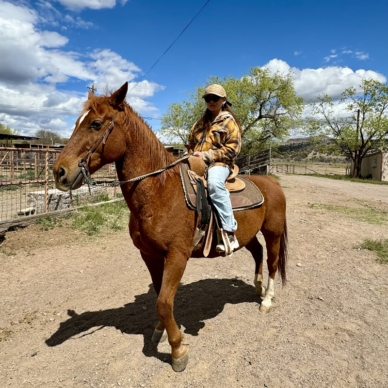 Legal Matters with Yen